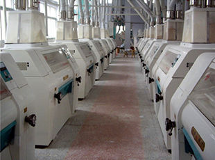 產(chǎn)品名稱：磨粉車間2
產(chǎn)品型號：
產(chǎn)品規(guī)格：